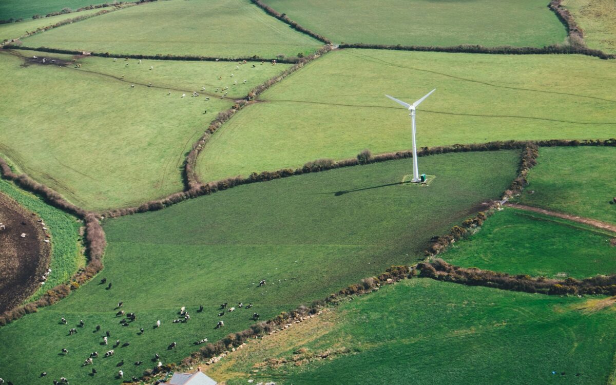 The Green Revolution: Turbines and Environmental Impact - Powering Progress, Weighing the Costs| Turbinesinfo.com