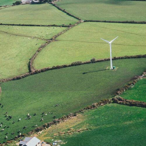 The Green Revolution: Turbines and Environmental Impact - Powering Progress, Weighing the Costs| Turbinesinfo.com